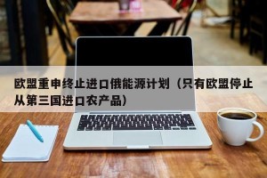 欧盟重申终止进口俄能源计划（只有欧盟停止从第三国进口农产品）