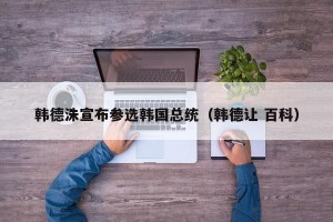 韩德洙宣布参选韩国总统（韩德让 百科）