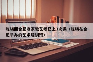 陈晓回合肥老家教艺考已上3次课（陈晓在合肥举办的艺术培训班）