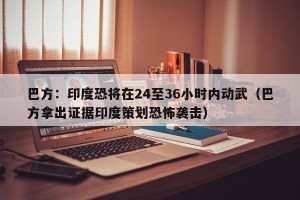 巴方：印度恐将在24至36小时内动武（巴方拿出证据印度策划恐怖袭击）