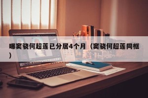 曝窦骁何超莲已分居4个月（窦骁何超莲同框）