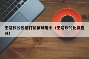 王楚钦公园陪打脸被球砸中（王楚钦的比赛视频）