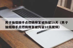 男子抽烟顺手点燃杨柳絮被拘留10天（男子抽烟顺手点燃杨柳絮被拘留10天视频）