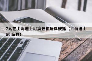 7人在上海迪士尼疯狂偷玩具被抓（上海迪士尼 玩具）