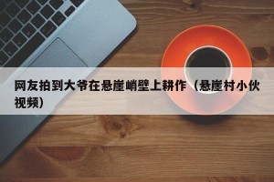 网友拍到大爷在悬崖峭壁上耕作（悬崖村小伙视频）