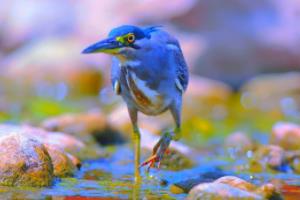 2022年世界杯冠军奖金，一场体育盛事背后的经济与文化影响世界杯2022冠军奖金