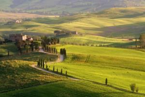 2002年世界杯，中国男足未能派出郑智出战02年世界杯有郑智吗